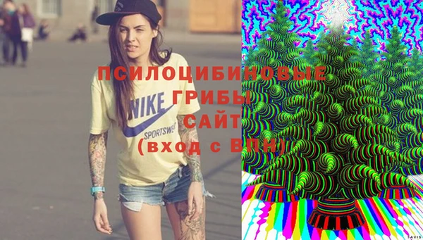 ALPHA-PVP Надым