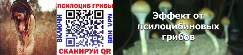 Псилоцибиновые грибы мицелий  мега зеркало  darknet наркотические препараты  Ермолино 